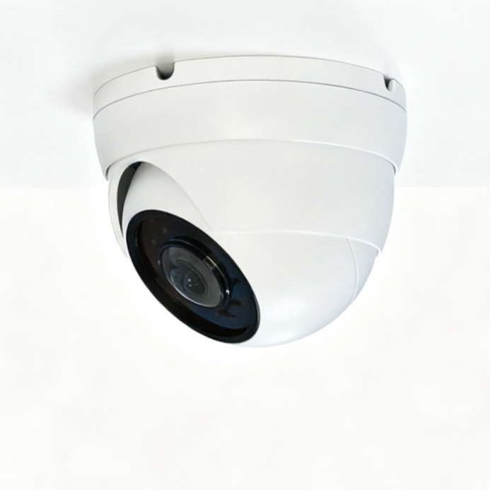 12MP Turret Style 180° Panoramic Lens Security IP Camera