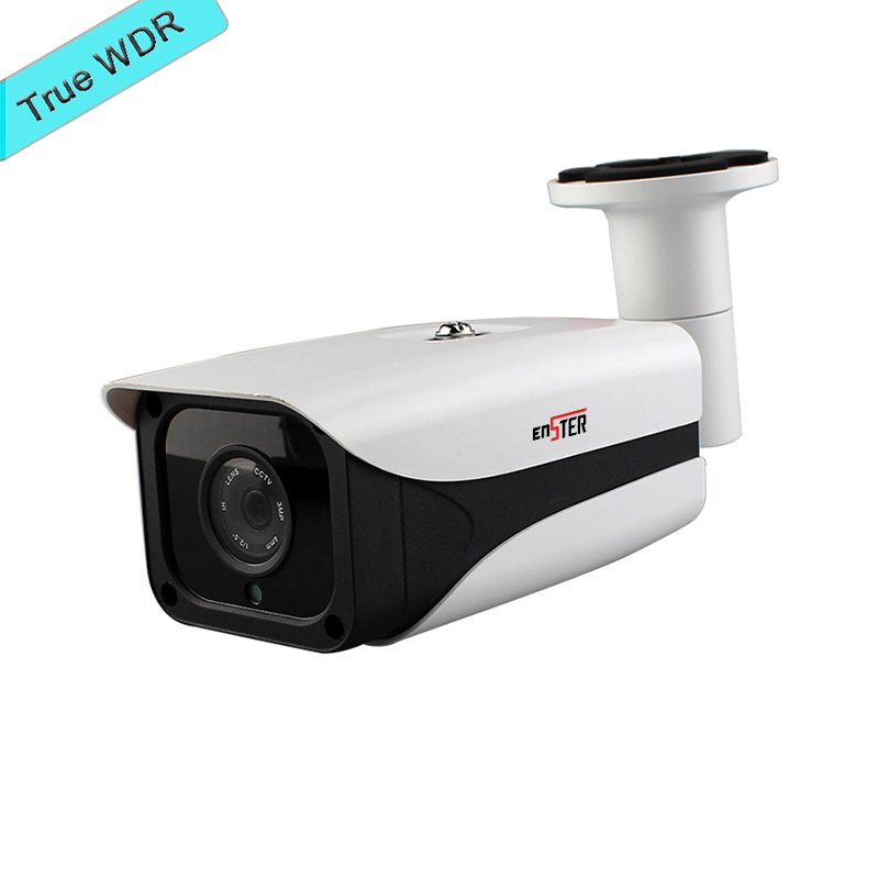 True WDR IP Camera