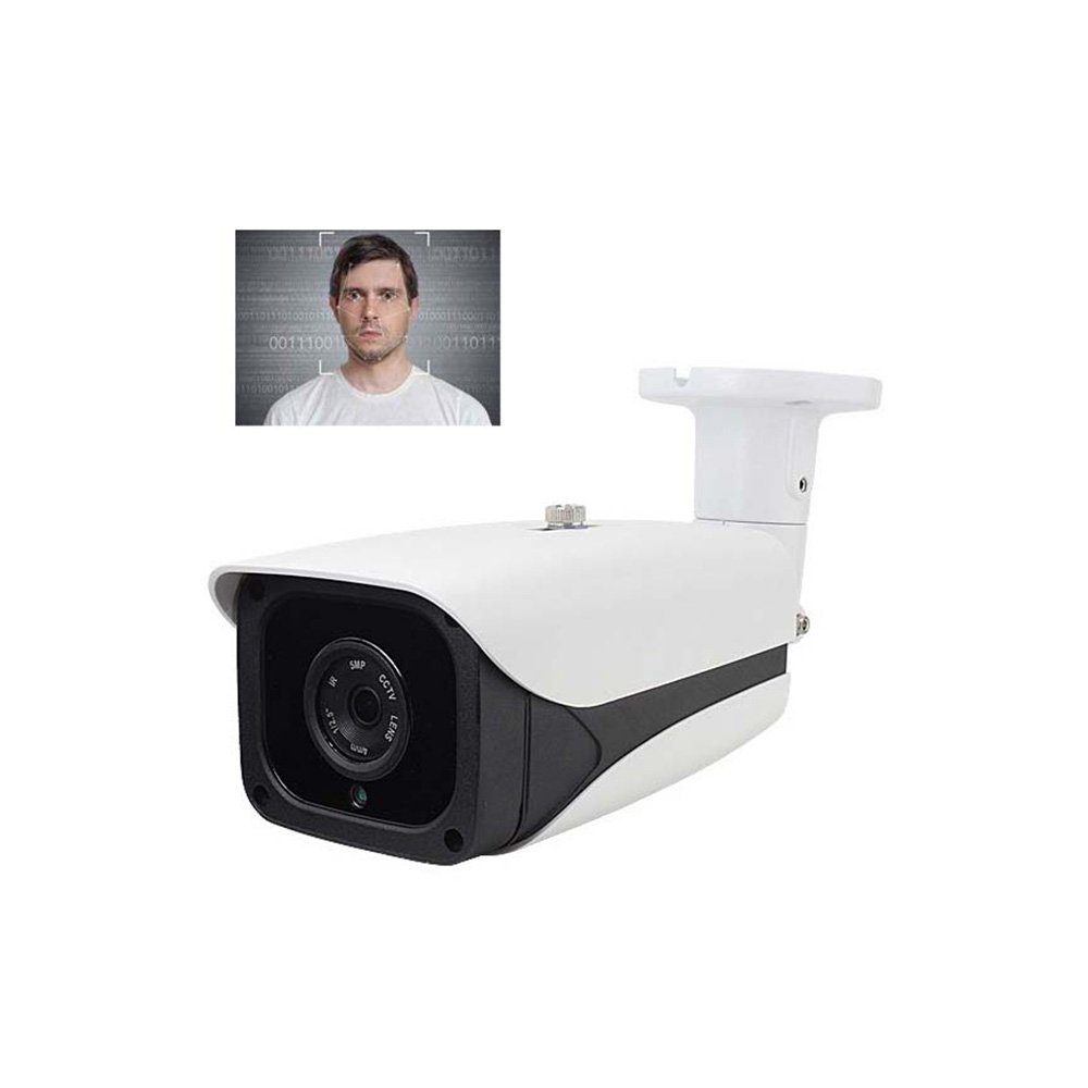 Intelligent AI Dynamic Facial Access Control Face Recognition Security CCTV IP Camera