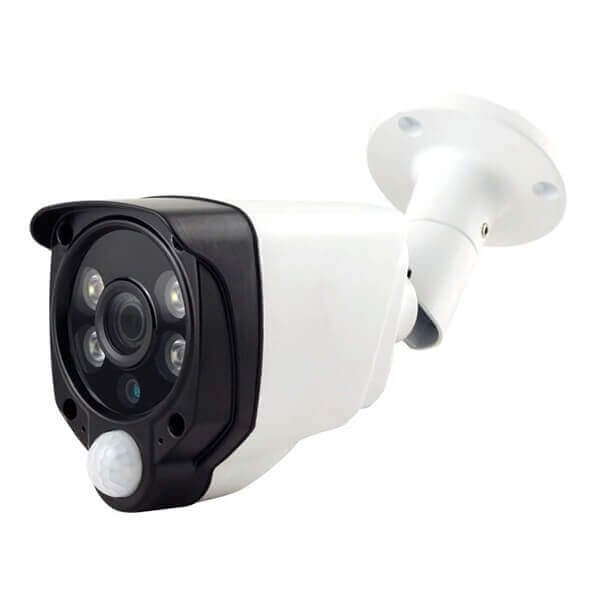 PIR Motion Detect and Dual Light System Smart Alarm Camera