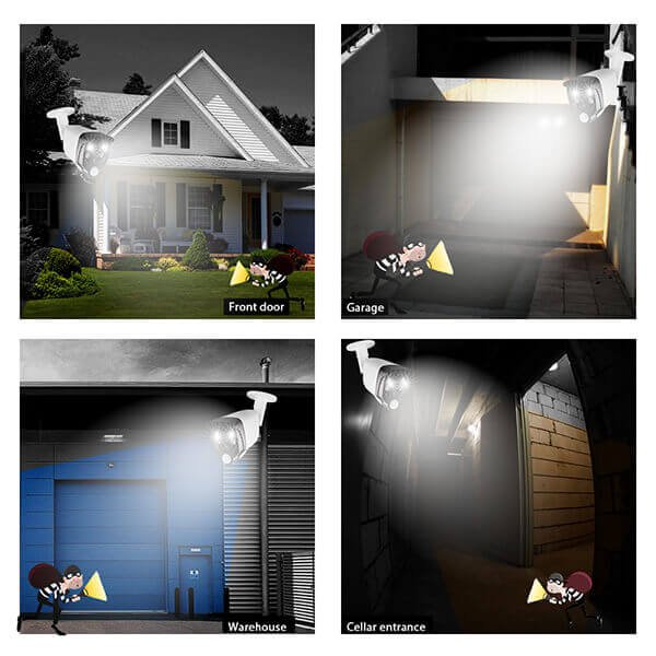 PIR Motion Detect and Dual Light System Smart Alarm Camera