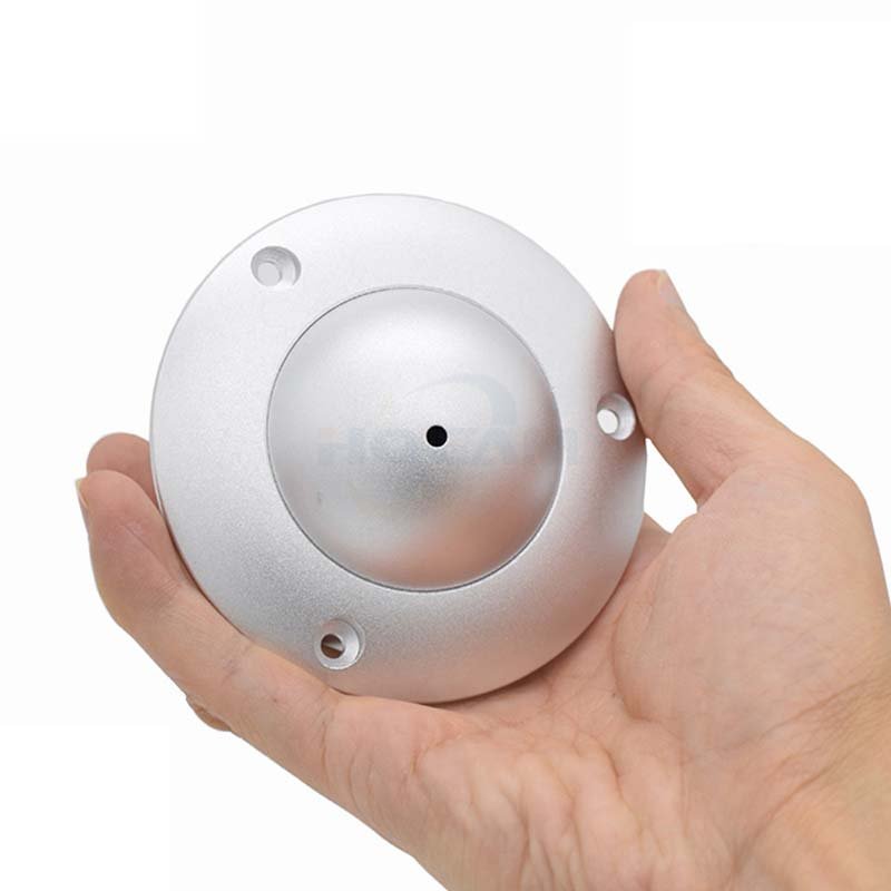 Vehicle Mounted Pinhole Lens Hidden UFO IP Camera