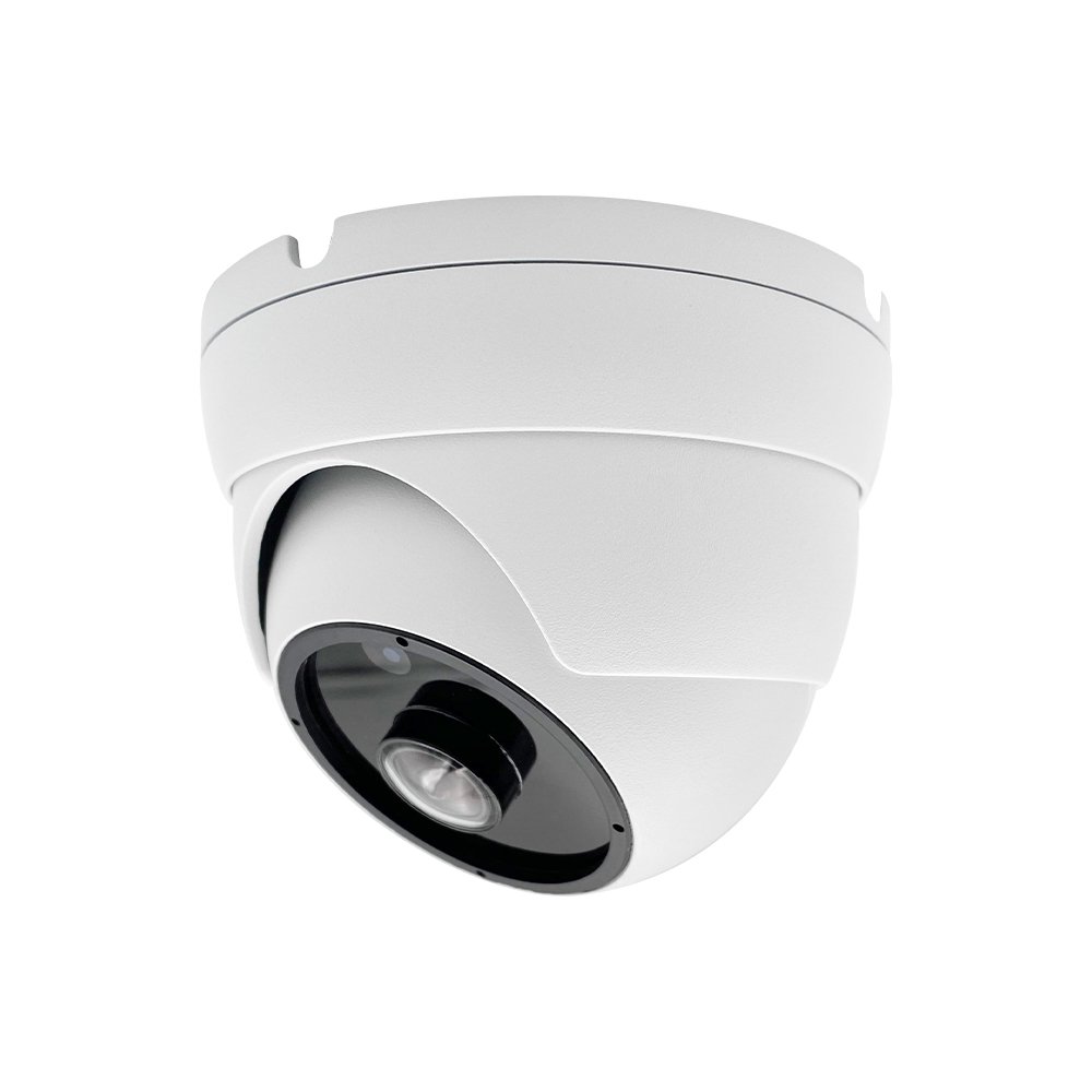 Hot Selling Panoramic Fisheye Lens Security Mobile Remote Vandalproof Metal Dome IP Camera