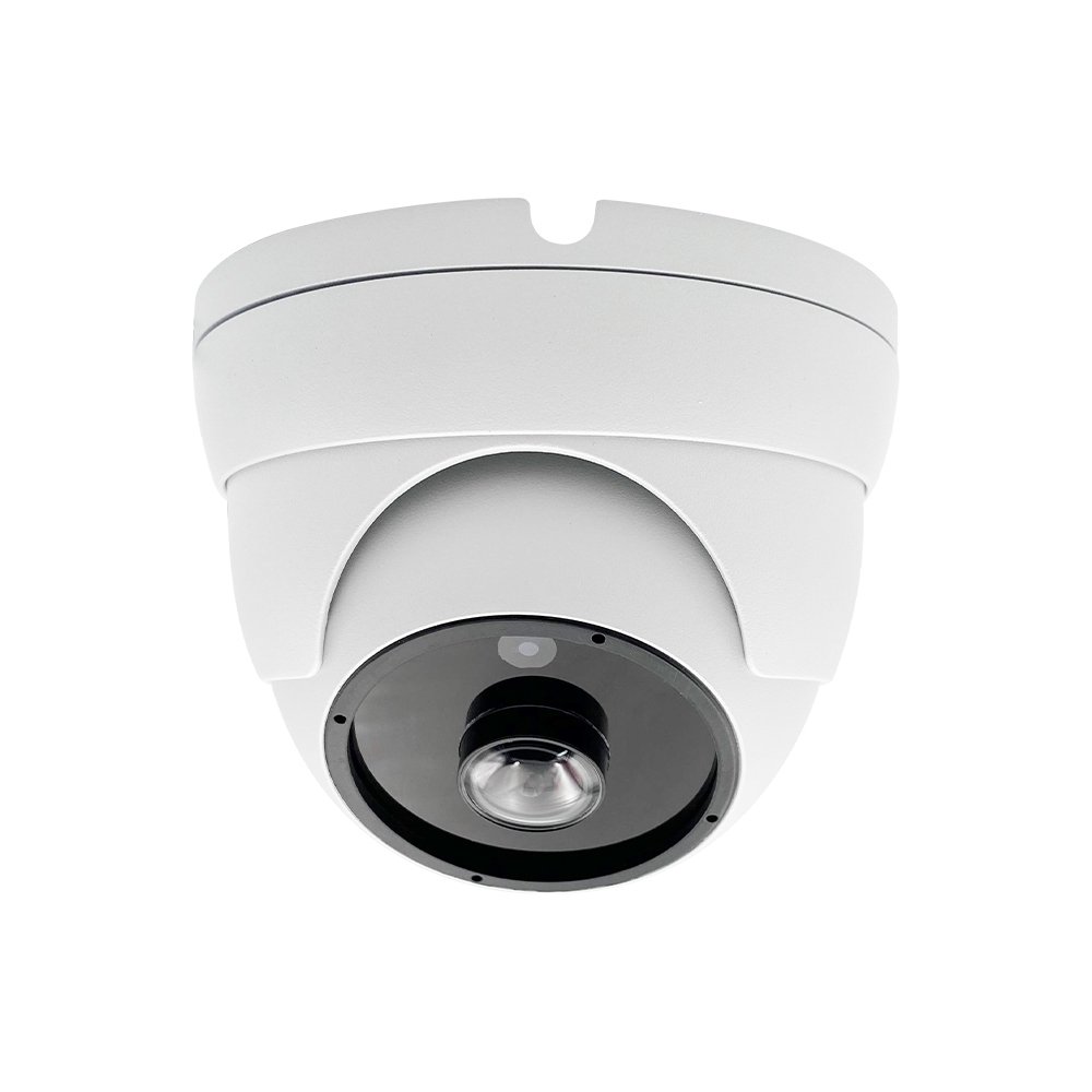 Hot Selling Panoramic Fisheye Lens Security Mobile Remote Vandalproof Metal Dome IP Camera